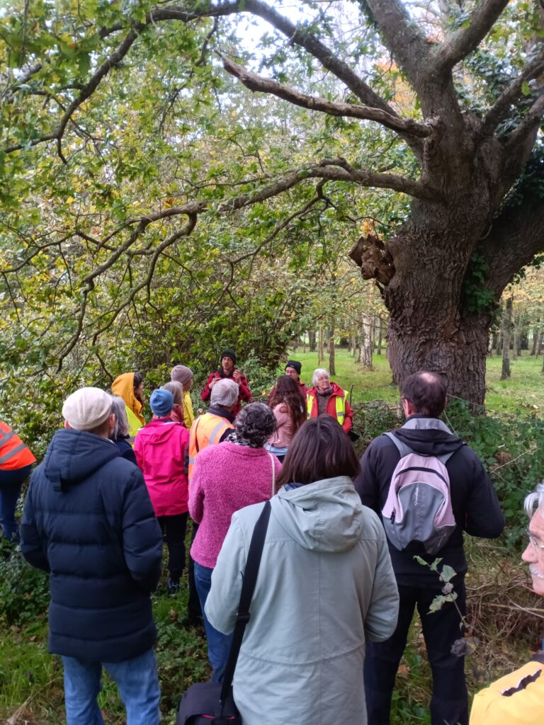 Sortie Visite Haies Bocagères à l'Accueillette - Public 2